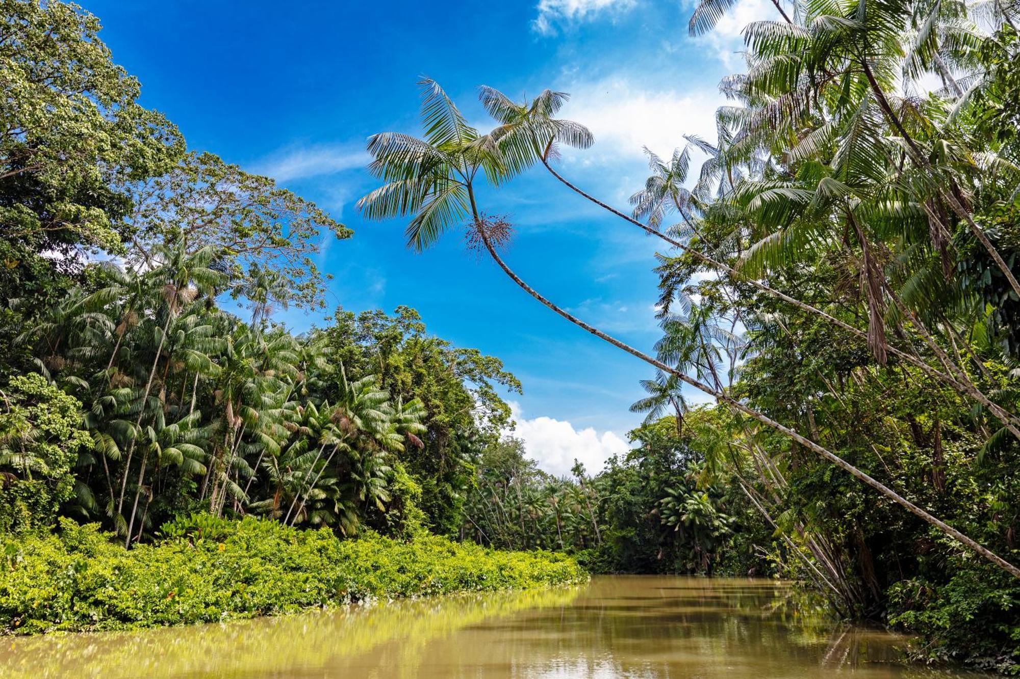 Caiman Lodge - Cuyabeno Nature Amazon Tour Exterior photo